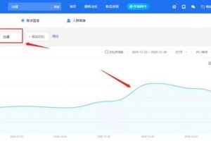 做偏門項目之賣動漫手辦，一個很細分的垂直領(lǐng)域項目！