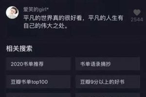 [抖音SEO流量]案例分析抖音SEO流量的秘密 獲取百萬流量進行賺錢變現(xiàn)