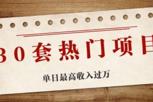 30套熱門項(xiàng)目：?jiǎn)稳兆罡呤杖脒^萬 (網(wǎng)賺項(xiàng)目、朋友圈、漲粉套路、抖音、快手)等