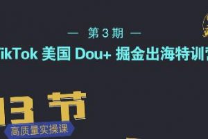 TikTok美國Dou+掘金出海特訓營，美國dou+成功投放95%