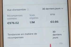 外面收費2980元的TikTok影視解說、中視頻教程，比國內的中視頻計劃收益高