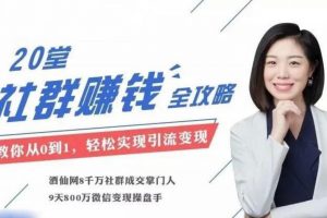 麥子老師20堂社群賺錢全攻略 教你輕松實(shí)現(xiàn)引流變現(xiàn)