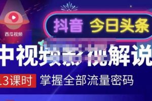嚴(yán)如意·中視頻影視解說—掌握流量密碼，自媒體運(yùn)營(yíng)創(chuàng)收，批量運(yùn)營(yíng)賬號(hào)