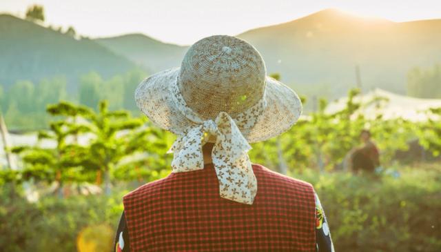 拼多多怎么算新用戶(hù)拼多多怎么算新用戶(hù)助力成功插圖