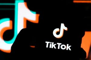 tiktok網(wǎng)頁入口urlebird