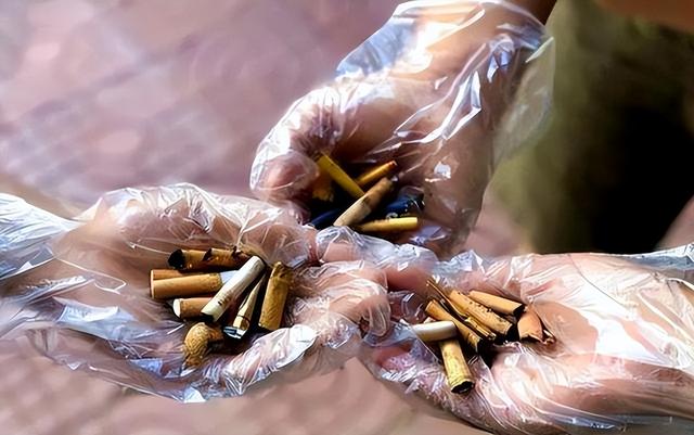 煙頭回收煙頭回收多少錢一斤賣給誰插圖5