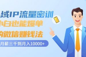 私域IP流量密訓(xùn)：小白也能爆單的微信賺錢法，從月薪三千到月入10000
