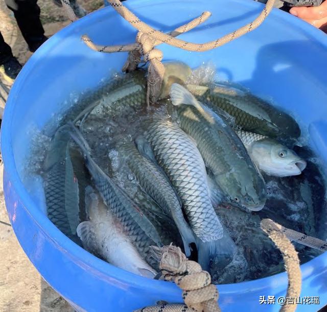 —個(gè)10畝魚(yú)塘養(yǎng)魚(yú)利潤(rùn)一個(gè)20畝魚(yú)塘養(yǎng)魚(yú)利潤(rùn)插圖2