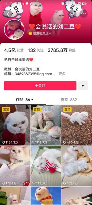 一個(gè)人適合做哪—領(lǐng)域短視頻做短視頻新手怎么入門插圖3