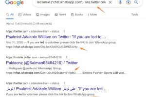 怎么看推特怎么看推特上的內容視頻