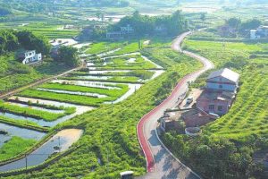 鄉(xiāng)鎮(zhèn)空缺生意鄉(xiāng)下有什么可以代加工的