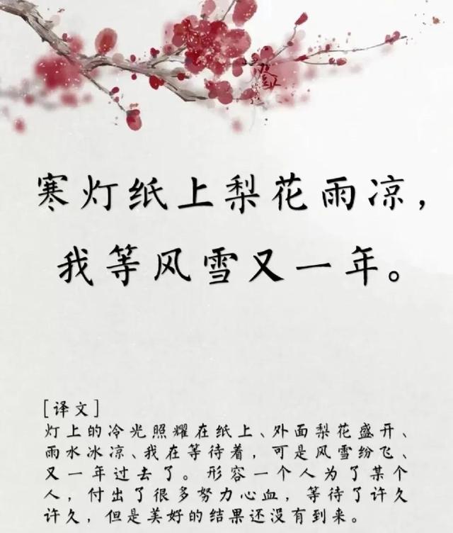 用古文暗示我等你白茶清歡無別事,我在等風(fēng)也等你全詩插圖5