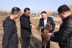 尋找藥廠合作種植藥材尋求藥材種植合作