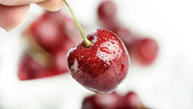 車厘子2j3j4j是什么意思車厘子2j3j4j是什么意思插圖1 車厘子2j3j4j是什么意思車厘子2j3j4j是什么意思插圖1