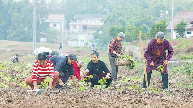 鄉鎮空缺生意鄉下有什么可以代加工的插圖2