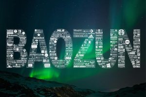 寶尊電商旗下品牌寶尊電商旗下品牌有哪些