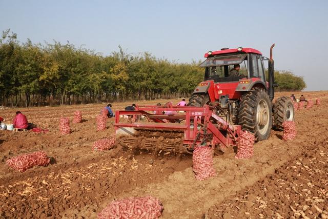 尋找藥廠合作種植藥材和藥廠合作做一個中藥材種植基地插圖 尋找藥廠合作種植藥材和藥廠合作做一個中藥材種植基地插圖