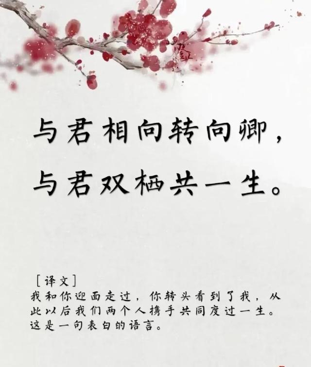 用古文暗示我等你白茶清歡無別事,我在等風(fēng)也等你全詩插圖