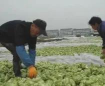 低調(diào)賺大錢的灰色行業(yè)文華財(cái)經(jīng)期貨app下載官網(wǎng)插圖7