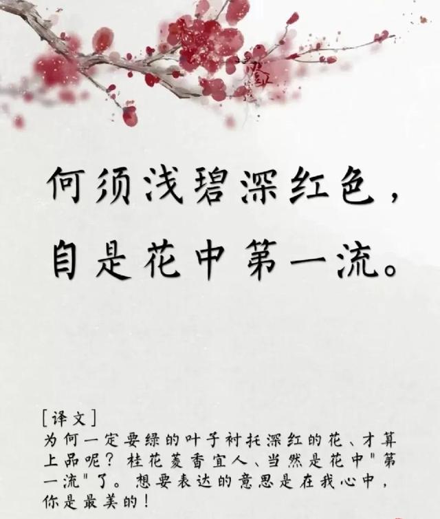 用古文暗示我等你白茶清歡無別事,我在等風(fēng)也等你全詩插圖3