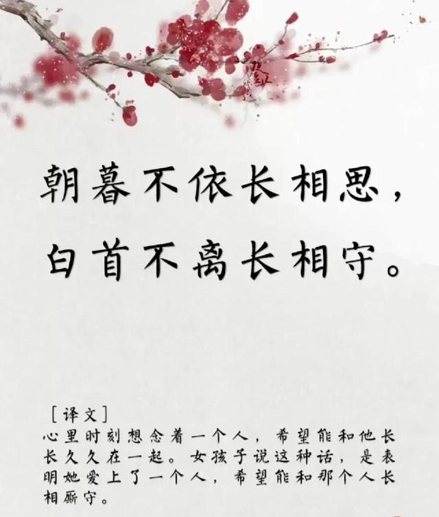 用古文暗示我等你白茶清歡無別事,我在等風(fēng)也等你全詩插圖7