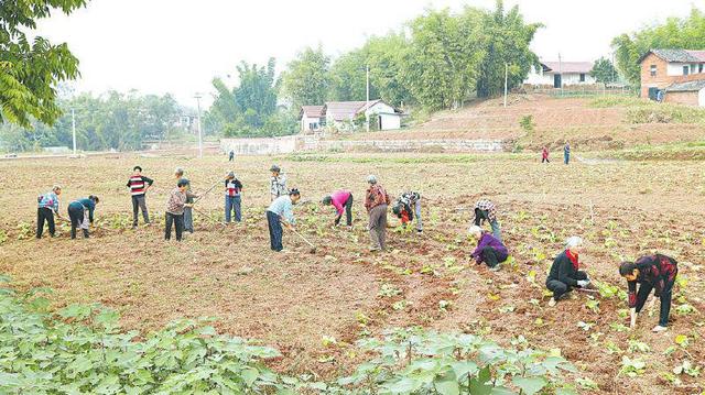 鄉鎮空缺生意鄉下有什么可以代加工的插圖1