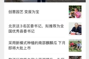 免費記者求助熱線免費記者求助熱線電話