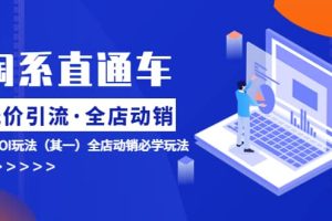 淘系直通車《低價·引流 全店·動銷》超高ROI玩法（其一）全店動銷必學玩法