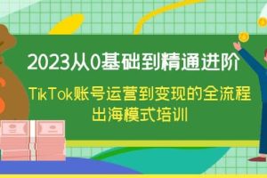 2023從0基礎到精通進階，TikTok賬號運營到變現的全流程出海模式培訓