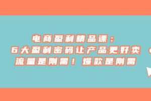 電商 盈利精品課：6大盈利 密碼讓產品更好賣，流量是剛需！爆款是剛需
