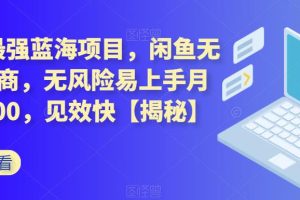 2023最強藍海項目，閑魚無貨源電商，無風(fēng)險易上手月賺10000，見效快【揭秘】