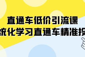 直通車-低價引流課，系統化學習直通車精準投放（14節課）