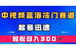 中視頻藍(lán)海冷門賽道，韓國視頻奇聞解說，起號迅速，日入300＋