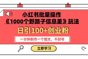 小紅書批量操作《1000個野路子信息差》玩法 日引100 創(chuàng)業(yè)粉 一分鐘一個圖文