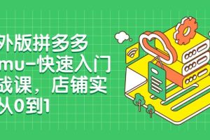 海外版拼多多Temu-快速入門實戰課，店鋪實戰從0到1（12節課）