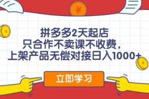 拼多多2天起店，只合作不賣課不收費，上架產品無償對接日入1000+