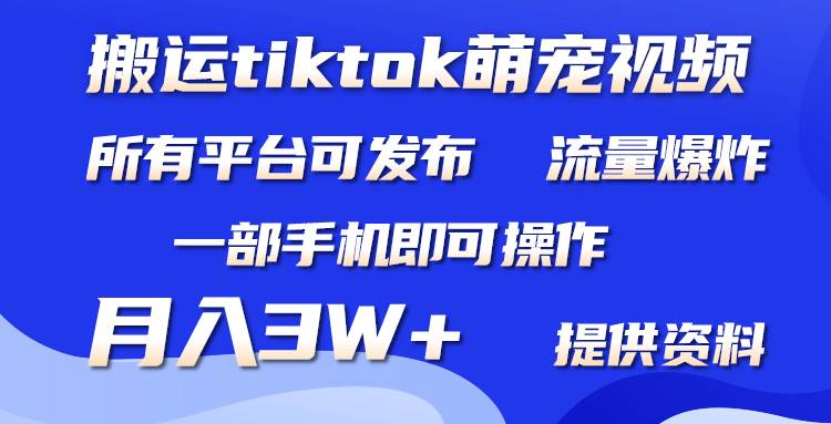 搬運Tiktok萌寵類視頻，一部手機即可。所有短視頻平臺均可操作，月入3W+